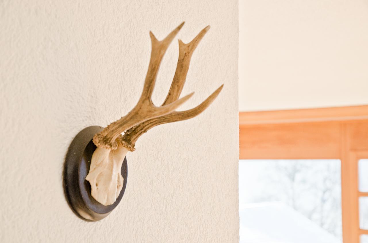 Apartment Matterhorn - Griwa Rent Ag Grindelwald Kültér fotó